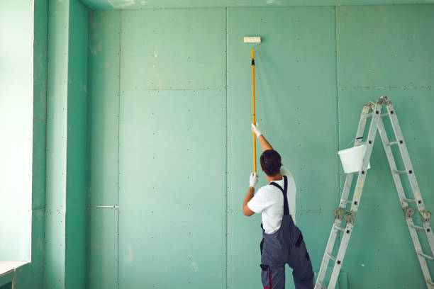 Best Asbestos and Lead Testing During Mold Inspection  in Matteson, IL