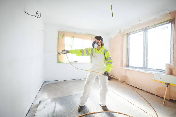 Best Environmental Consulting for Mold Prevention  in Matteson, IL