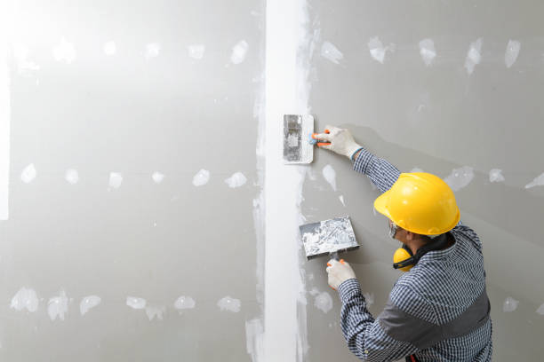 Mold Odor Removal Services in Matteson, IL