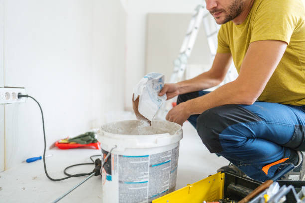 Best Mold Remediation for Vacation Homes  in Matteson, IL