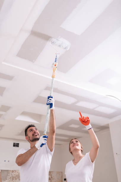 Best HVAC Mold Inspection and Cleaning  in Matteson, IL