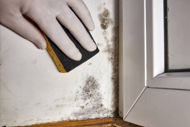 Best Indoor Air Quality Assessment  in Matteson, IL