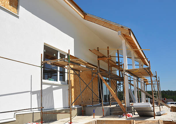 Best Mold Documentation for Insurance Claims  in Matteson, IL