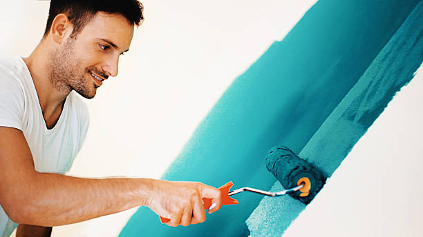 Best Basement Mold Removal  in Matteson, IL