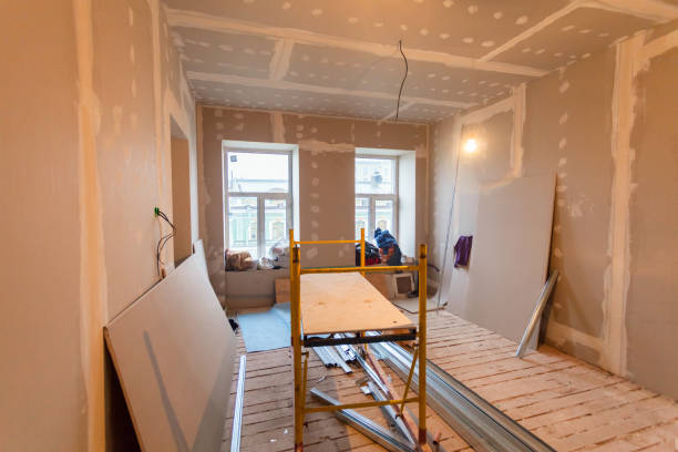 Best Mold Odor Removal Services  in Matteson, IL