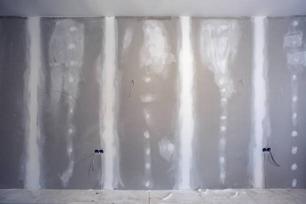 Best Commercial Mold Inspection  in Matteson, IL